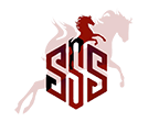 Stallion S. Services Logo
