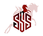 Stallion S. Services Logo